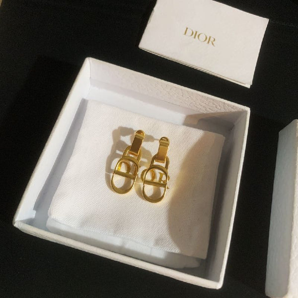 Fashionable Light Luxury Letter Earrings